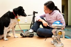 Min Hooi Yong with a dog helping with research