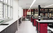 New Dental School Walsh Building interior thumb 1