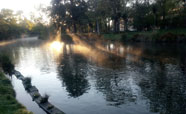 Morning springtime fog over the river behind the hospital<br />Photo: Marama Gravett
