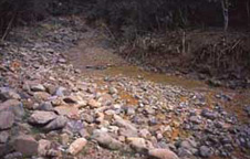 Coromandel stream draining epithermally affected rocks, with natural acidity (pH 3-4) and dissolved metals. Photo was taken after a major flood, when abundant new pyritic rocks had been exposed.