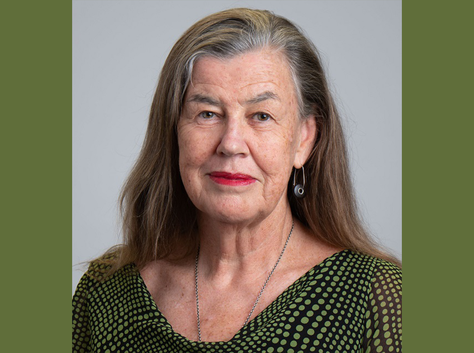 Distinguished Professor Philippa Howden-Chapman image