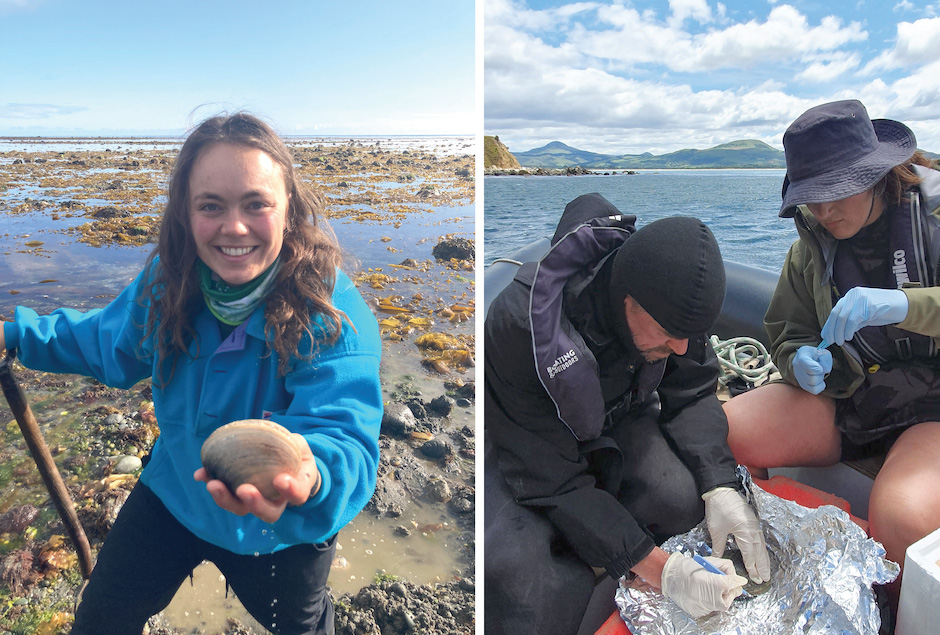 In the left image, a young woman stands in a landscape of tidal pools, holding a large sea mollusk. In the right image, two people in a small boat take samples from a paua for testing.