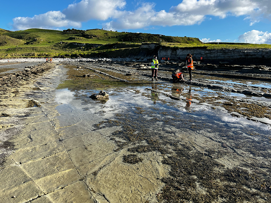 Groups of people in hi-vis vests examining a terrace of land with shallow pools of water on it