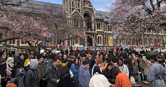 A crowd of people between blossom trees on the Clocktower lawn 