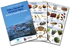 rockyshoreguide