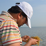 Vahid looking down at seaweed in his hands