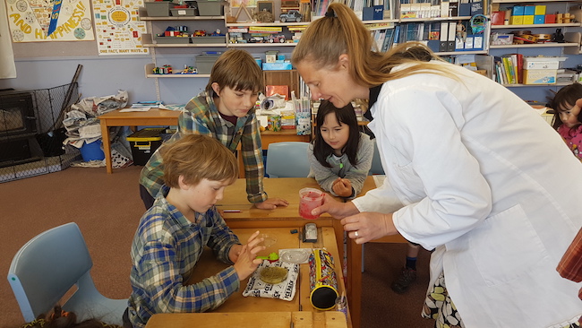 jelly and kiwifruit at Purakaunui School_650