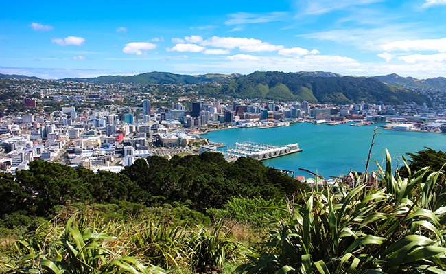 Wellington cityscape on a sunny day with hills in background.