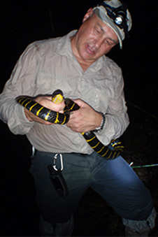 Phil Bishop and mangrove snake image