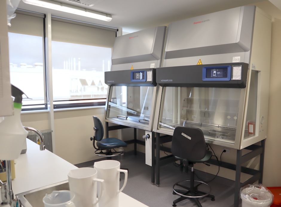 Clean new research lab with biosafety cabinets.