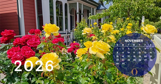 calendar image 
