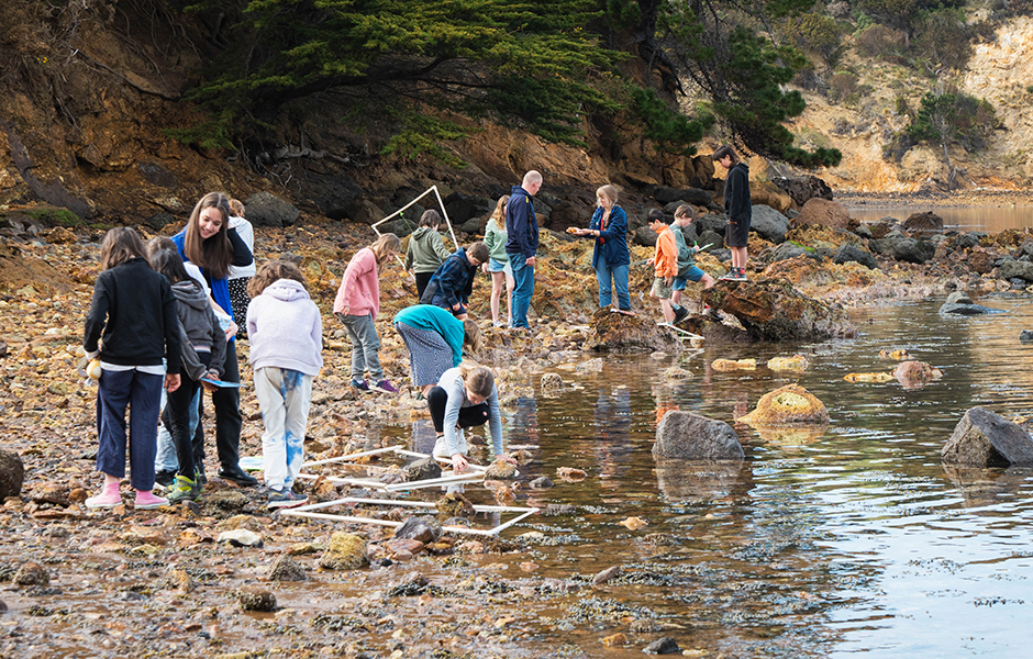 A group of students on the shoreline identifying marine creatures.
