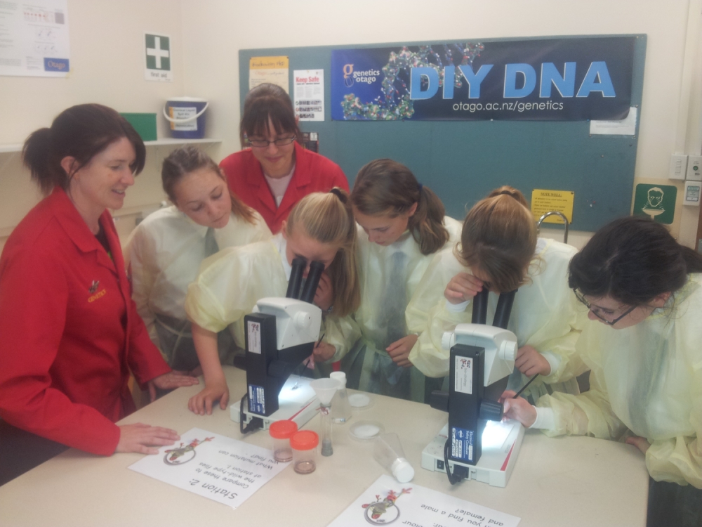 DIY DNA students web