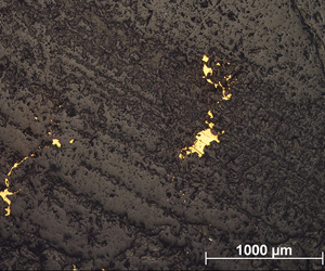 Reefton gold at the micro-scale