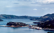 Otago harbour channel thumb