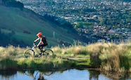 Cyclist and Christchurch city panorama thumbnail