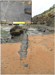 Thin dike found around Cape Wanbrow with banded vesicles