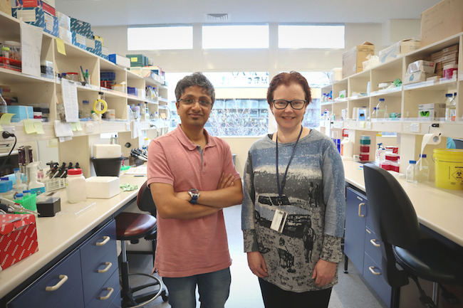 Two scientists standing in a biomedical research laboratory.