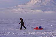 Pat Langhorne towing a sled on the ice thumbnail image