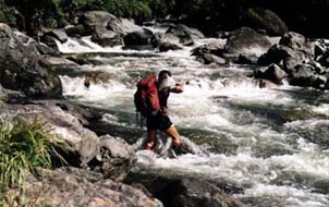 Crossing a stream with stream sediment sample in the highlands of West Papua.