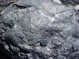 Greywacke boulder covered with graphite shears. Has a highly reflective surface.
