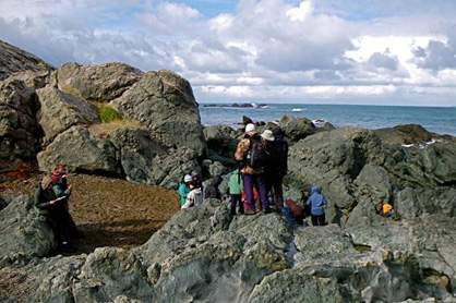 GEOL 252 (Field Studies & New Zealand Geology) students examine Permian pillow breccia of the Brook Street Terrane at Howell Point, Southland.