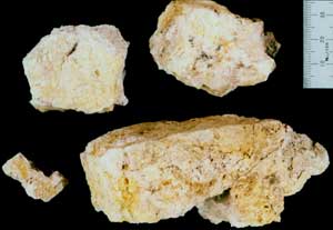 Yellow-brown stains are due to decomposition of marcasite in rain water, leaving jarosite (yellow sulphide mineral) and limonite (rusty brown iron oxide)