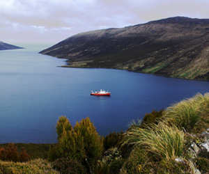 Campbell Island, 700km south of New Zealand: Perseverance Harbour as seen from Beeman Hill. The University of Otago research vessel Polaris II is visible near the bottom left.