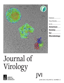 journal-of-virology-cover-small-image