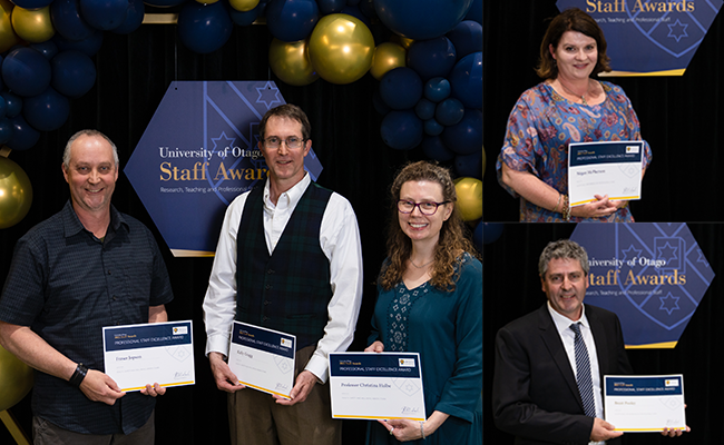 staff awards compisite image