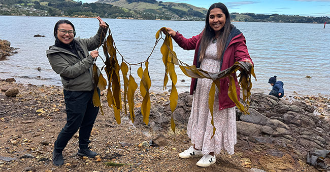 Two women hold a large piece of seaweed between them at a rocky shore.