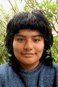 Javi Arango