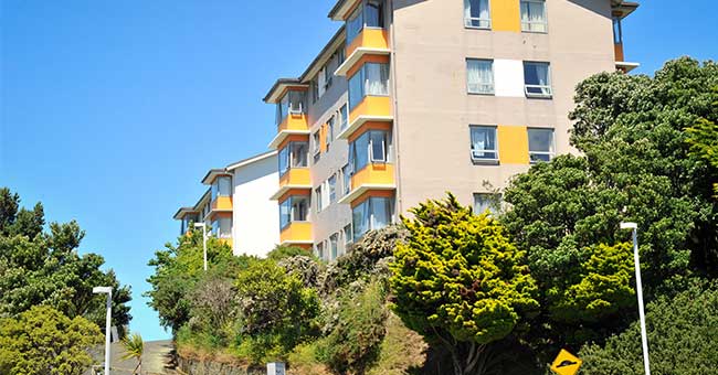 a block of yellow apartment buildings with a road leading up a hill towards them, trees surround the buildings on a nice sunny day