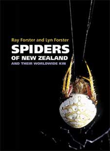 spiders_of_nz