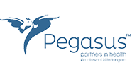 Pegasus-logo-Image