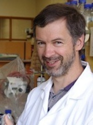Photo of Professor Iain Lamont 186