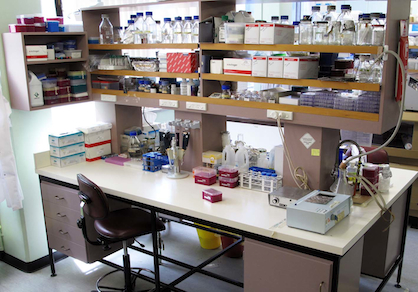Photo of a laboratory bench in the Molecular Biosciences Laboratory