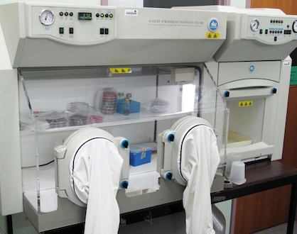 Photo of anaerobic chamber for growing anaerobic oral microorganisms