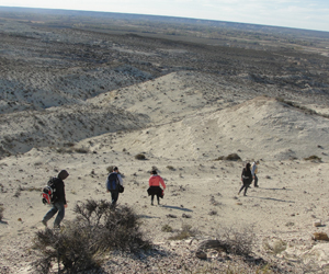 In the search for ancient  whales in the desert. Trelew, Patagonia Argentina