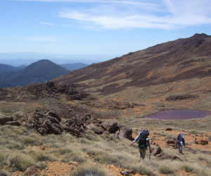 Geologists traverse the iron-rich landscape of the Red Hills Ultramafic Massif. 