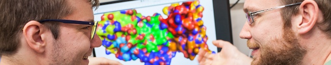 Two biochemists discussing a model of a protein molecule on a computer screen.