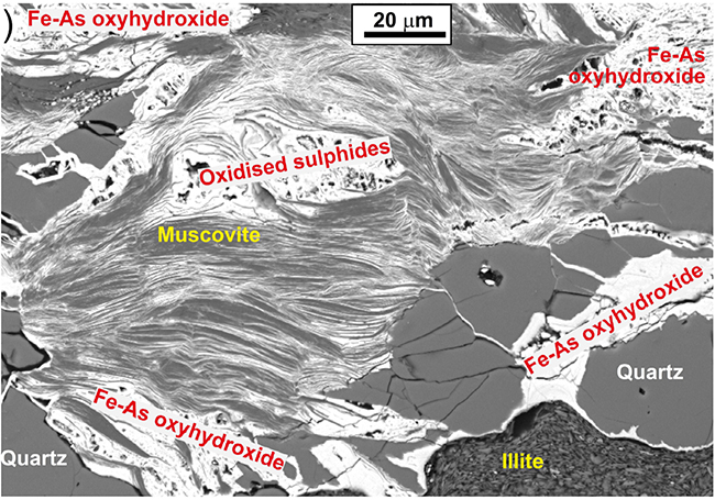 Electron microscopic view of oxidised schist with muscovite mica and quartz image