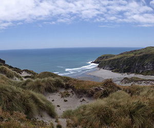 Amazing beach of huge geological significance with enormous sand dunes and a large, tectonically modified sedimentary deposit. Located North of Kaihoka Lakes, top of the West coast. 