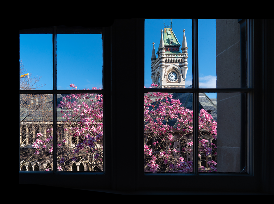 Clocktower magnolia image