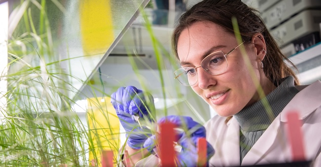 A woman in a laboratory working with several samples of plants