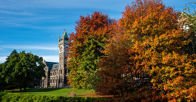 Clocktower autumn teaching awards 2024 thumbnail