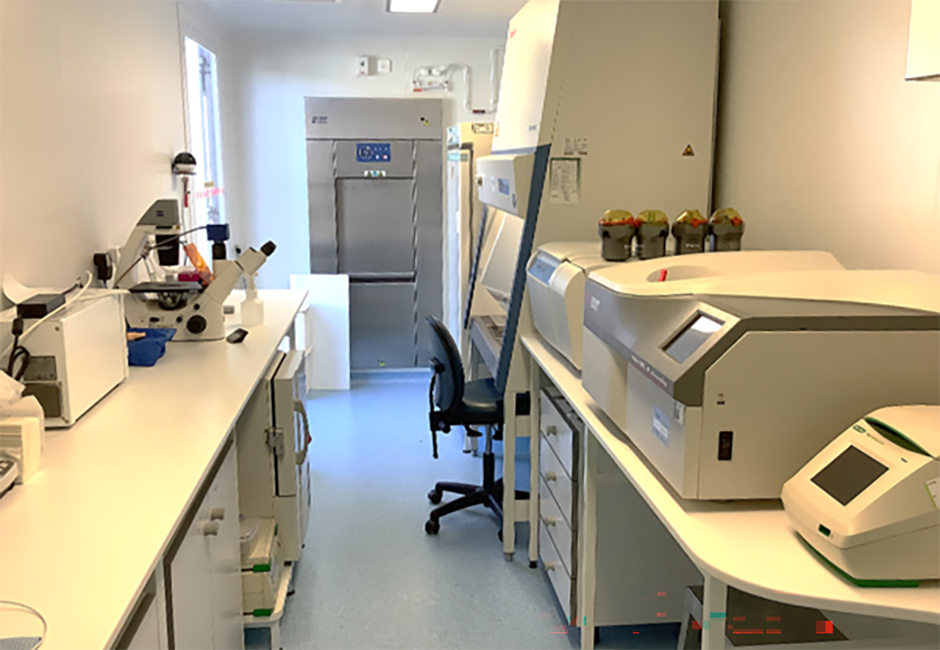 Inside the PC3 laboratory with equipment on counters