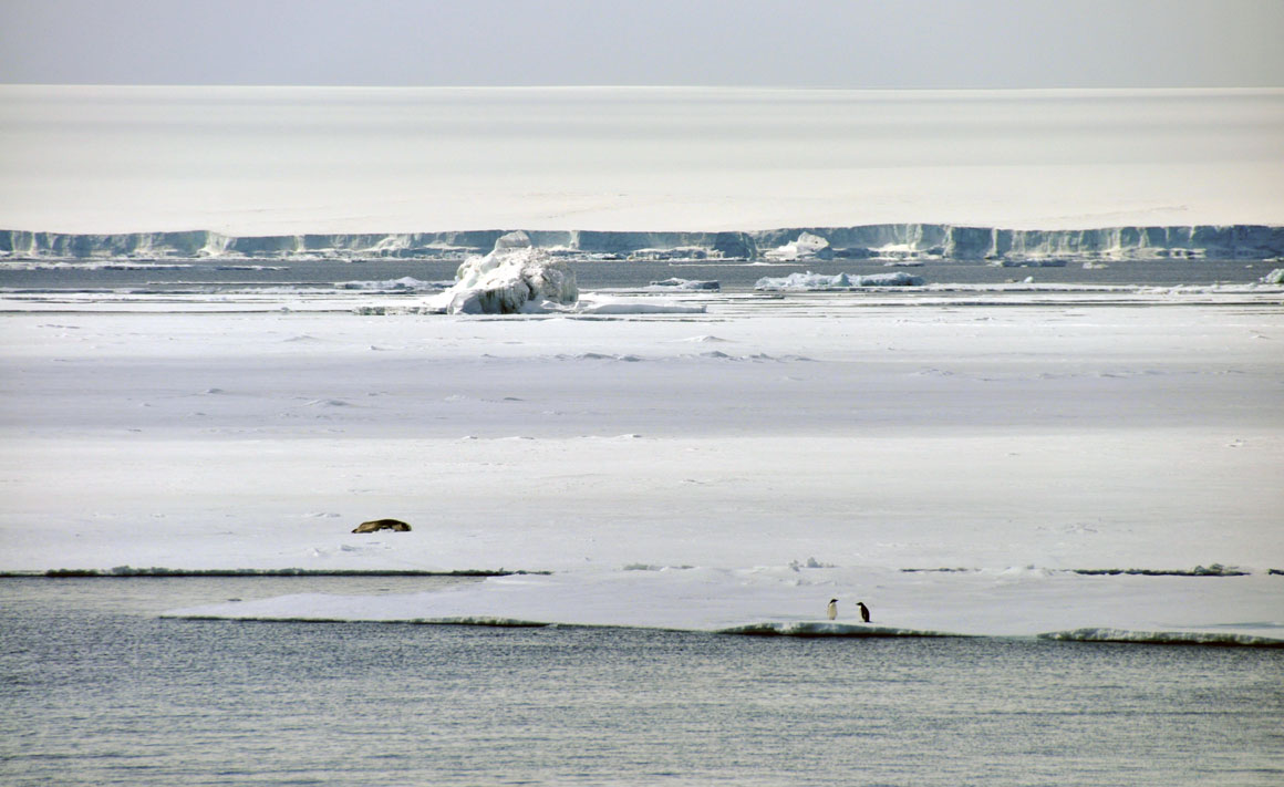 Ice sheet banner