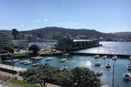 Wellington Harbour 186