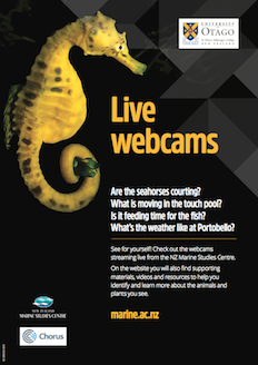 Live web cams poster image